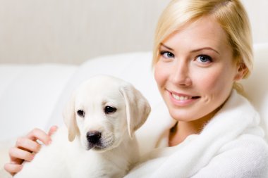 kadının elleri üzerinde oturan köpek yavrusu labrador