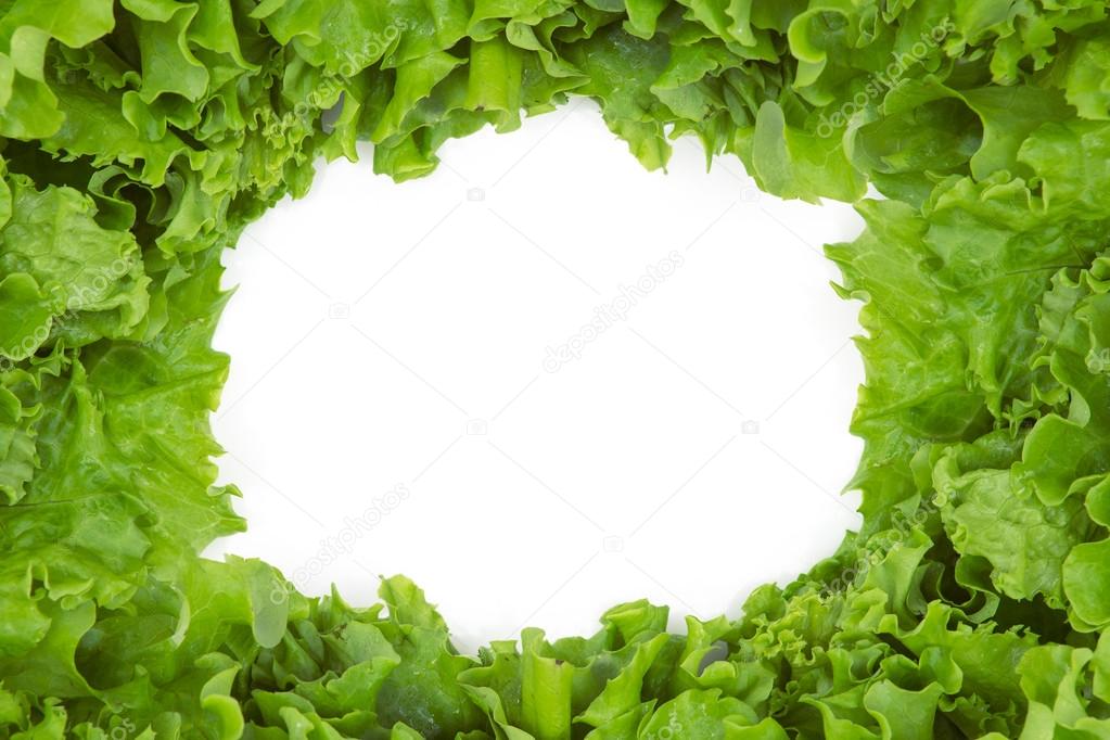 Close up view of lettuce in frame shape