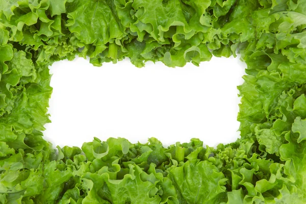 Lechuga en forma de marco — Foto de Stock