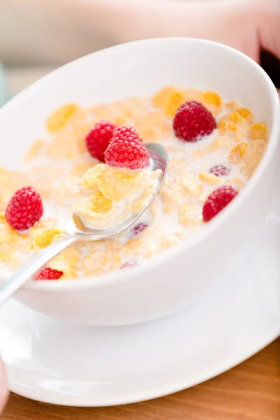 Plate with cereals — Stock Photo, Image