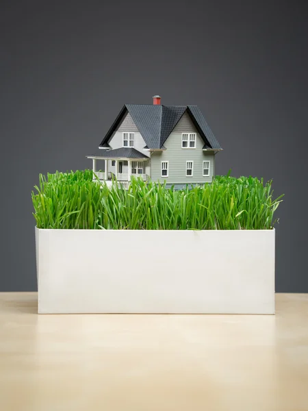 Yeşil çimenlerin üzerinde stand ile ev modeli — Stok fotoğraf