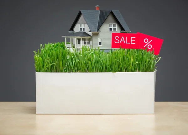 Hus modell med gräs och försäljning tablett — Stockfoto