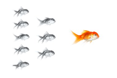 Gümüş goldfishes