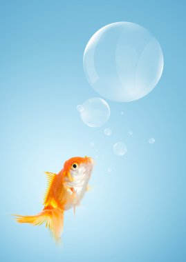 Akıllı goldfish