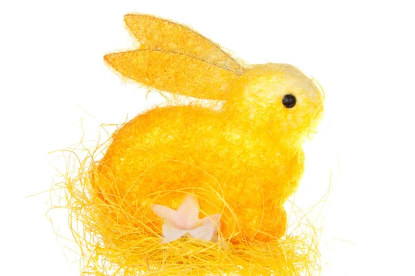 Velikonoční zajíc — Stock fotografie