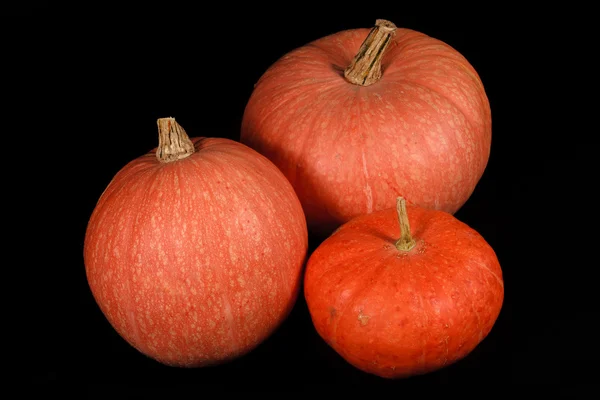 Calabaza anaranjada Hallowe — Foto de Stock