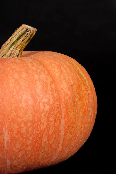 Halloweesn orange pumpkin — Stock Photo, Image