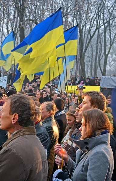 Wielki głód na Ukrainie (79 rocznica) znaki w Kijowie, Ukraina na 24 listopada 2012. — Zdjęcie stockowe