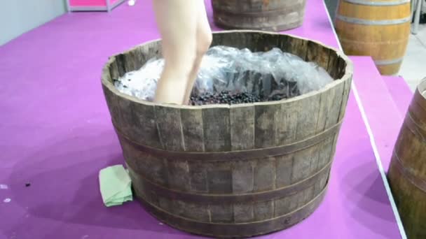 Wine processing by young woman lags in wooden barrel, drink preparation. — Stock Video