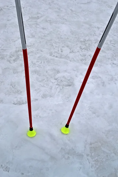 Few alpine canes into snow, seasonal sport. — Stock Photo, Image