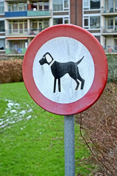 Ingen hund promenader så varningen runda skylten på metall pilone, husdjur. — Stockfoto