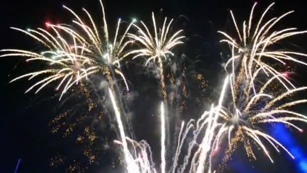 Firework diversity, night salute, carnival. — Stock Video