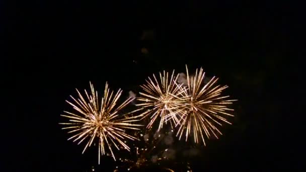 Vacanza fuochi d'artificio diversità, carnevale notturno — Video Stock