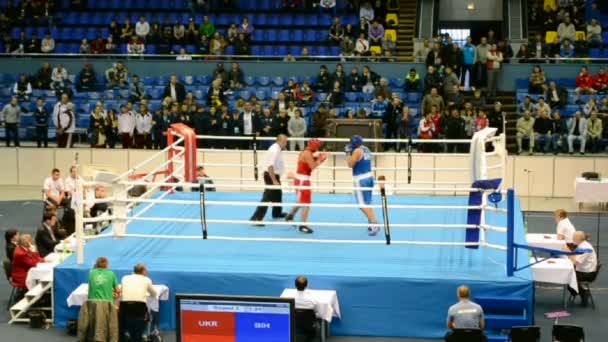 Preliminaries boxing during Junior World Boxing Championships 2013 in Kiev, Ukraine, — Stock Video