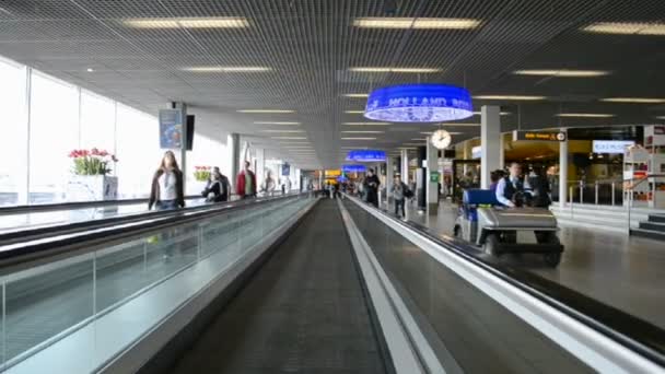 Amsterdams flygplats schiphol, Nederländerna, — Stockvideo