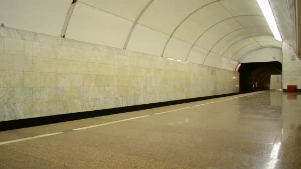 Train de métro, ligne de wagon bleu , — Video