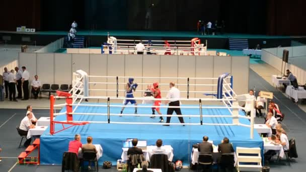 Junior World Boxing Championships 2013 in Kiev, Ukraine. — Stock Video