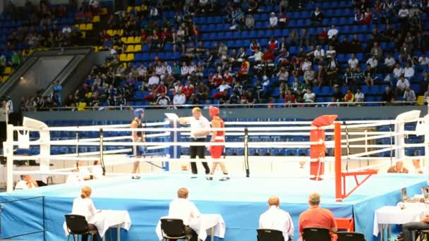 Junior boksen Wereldkampioenschappen 2013 in kiev, Oekraïne. — Stockvideo