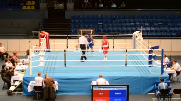 Campeonato Mundial Junior de Boxeo 2013 en Kiev, Ucrania . — Vídeos de Stock