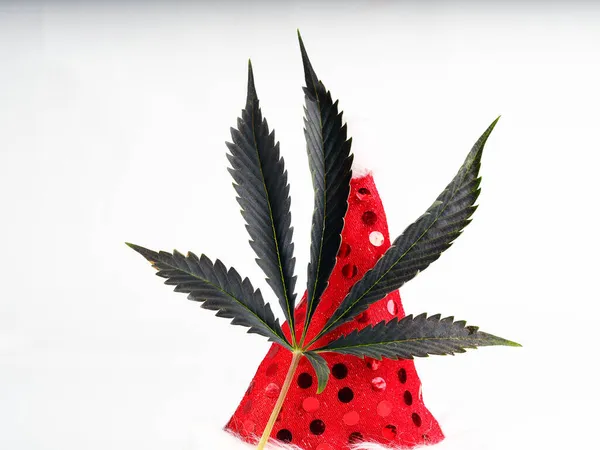 Concepto Cannabis Navideño Marihuana Medicinal Sombrero Santa —  Fotos de Stock