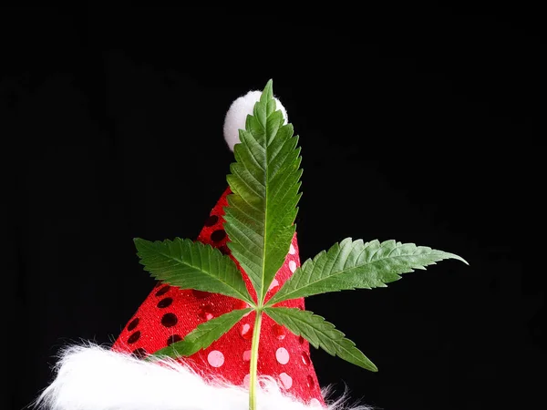Concetto Cannabis Natalizia Marijuana Medica Cappello Babbo Natale — Foto Stock