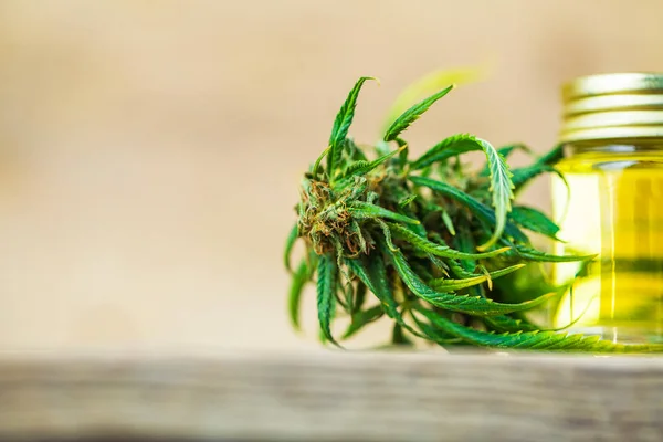 Fresh Bud Marijuana Medical Cannabis Oil Cbd Bottle — Stock Photo, Image