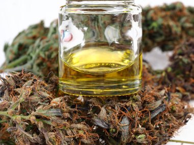 Tıbbi esrar işi. CBC yağı ve eğlence amaçlı marihuana yakın çekim