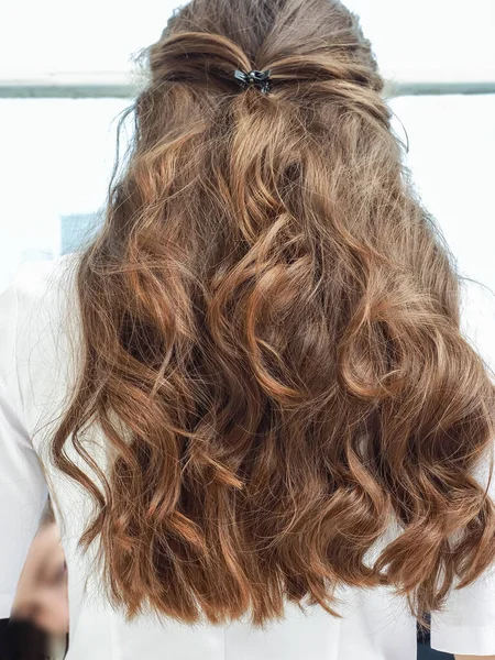 Gesunde Luxus Lange Braune Weibliche Haare Rückseite — Stockfoto