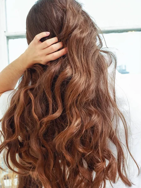 健康的な高級茶色の女性の髪の背景色 — ストック写真