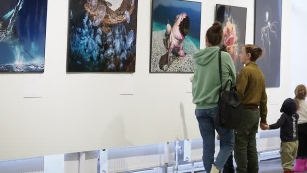 Éditorial Illustratif Personnes Visiteurs Photoshow Tortue Dorée Ozon Logo Poste — Video