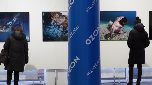 Illustrative Editorial People Visitors Photoshow Golden Turtle Ozon Logo Brand — Stock Video