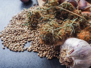 Ot tomurcukları ve sarımsak. tıbbi esrar