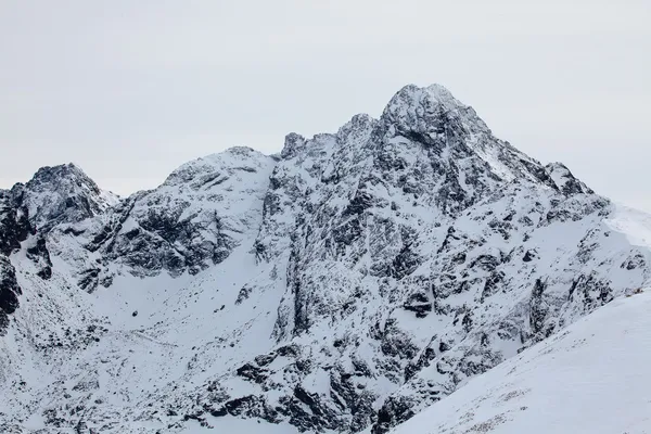 Monti Tatra, Polonia, Europa — Foto Stock