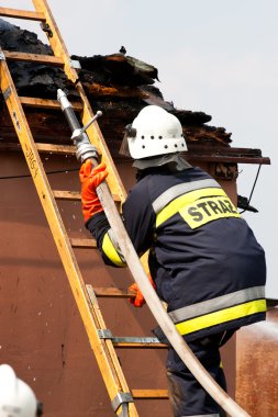 Polonya'da küçük köyde yangın, kurtarma eylemi