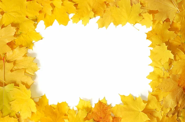 Frame from autumn leaves — Stock Photo, Image