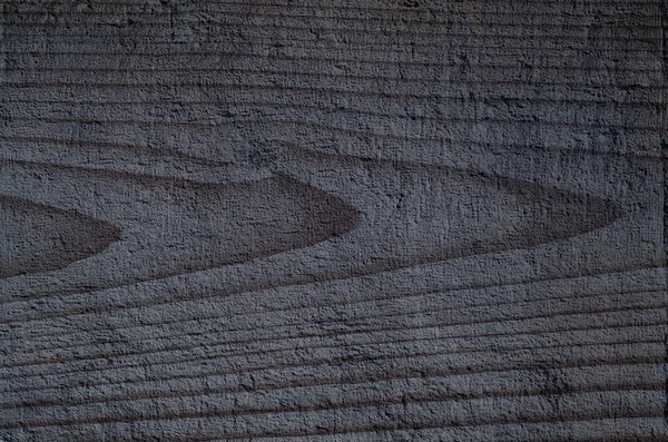 Textura del árbol — Foto de Stock