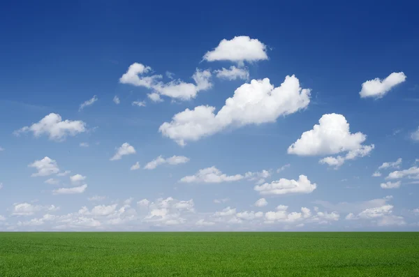 Molnig himmel över fältet — Stockfoto