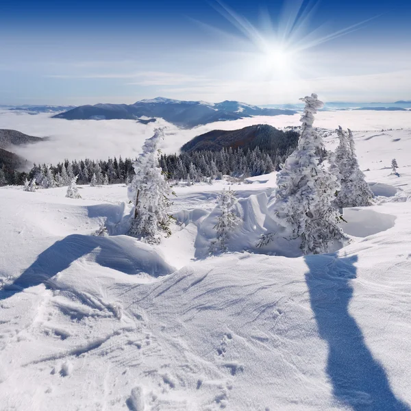 Vinterlandskap med solen — Stockfoto