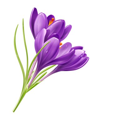 Flowers on a white background clipart