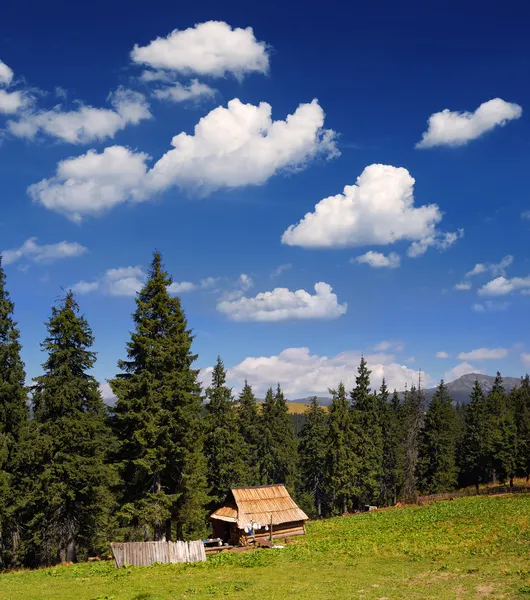 Zonnige landschap — Stockfoto