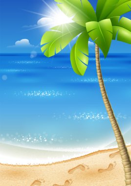 Palmiyeli tropik plaj