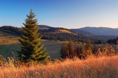 güzel bir akşam dağlarda