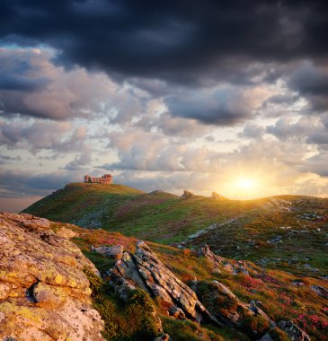 Güneş şark