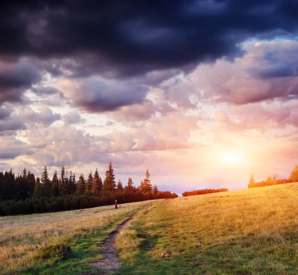 Wanderweg in den Bergen — Stockfoto