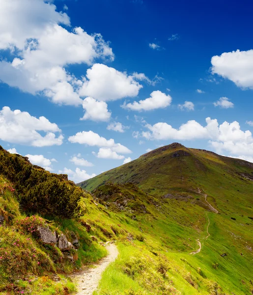 Sendero en las montañas — Foto de Stock