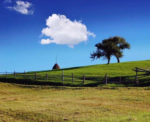 Ländliche Landschaft — Stockfoto