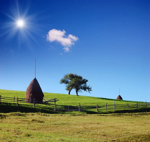 Haystacks ile ülke sahne — Stok fotoğraf