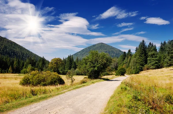 Weg naar de bergen — Stockfoto