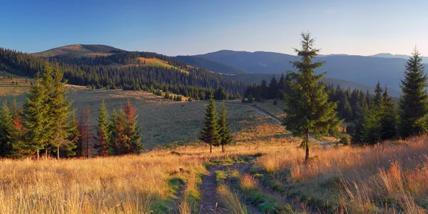 Панорама с горной дороги — стоковое фото