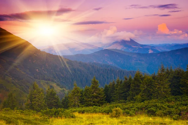 Evening sun in the mountains — Stock Photo, Image